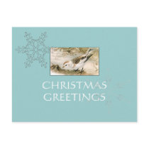 Snow-Bunting postcard