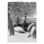 Snow Canoe cards