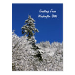 Snow Capped Mountain Greetings From Washington Post Card