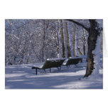 Snow Card cards