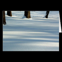 Snow cards