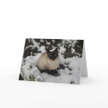 Snow Cat Greeting Cards