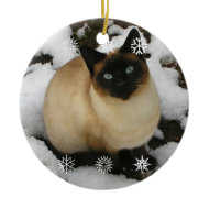 Snow Cat Ornament