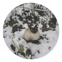 Snow Chow Chow Round Stickers