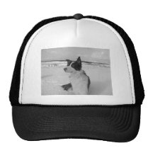 Snow Collie Trucker Hat