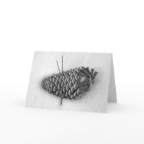 Snow Cone cards