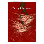 SNOW CONES GREETING CARDS