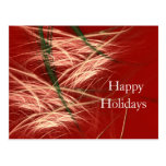 SNOW CONES POST CARDS