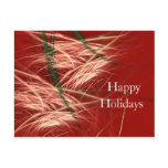 SNOW CONES POST CARDS