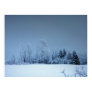 Snow County