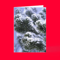 Snow Cover cards