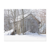Snow Cover postcards