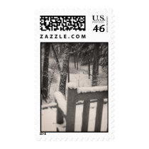 Snow Covered Benches