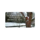 Snow Covered Birdhouse Address Address Label