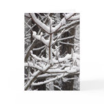 Snow-covered Branches Card