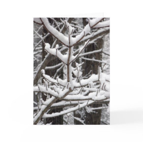 Snow-covered Branches Card