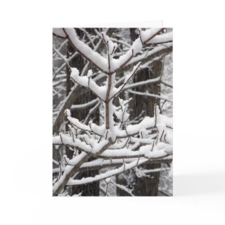 Snow-covered Branches card