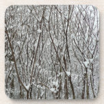 Snow Covered Branches Cork Coaster Set