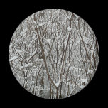 Snow Covered Branches Magnet