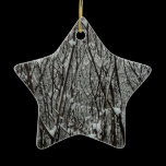 Snow Covered Branches Ornament