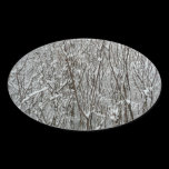 Snow Covered Branches Oval Sticker
