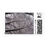 Snow Covered Branches postage