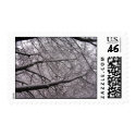 Snow Covered Branches postage by Justngage Snow Covered Branches postage