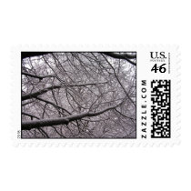 Snow Covered Branches postage