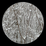 Snow Covered Branches Sticker