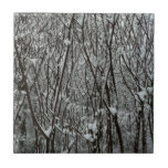 Snow-Covered Branches Tile