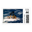 Snow covered bush postage by rickped Snow covered bush postage