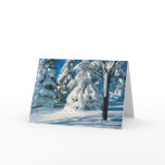 Snow Covered Evergreens Cards