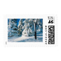 Snow Covered Evergreens postage