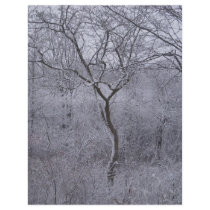 Snow-covered flora and trees in Upstate New York flyers by audbene Snow-covered flora and trees in Upstate New York flyers