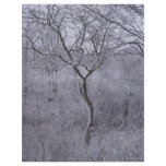 Snow-covered flora and trees in Upstate New York Personalized Flyer