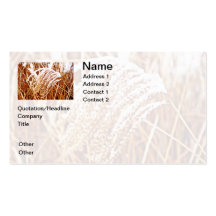 Snow Covered Grass Business Card Templates