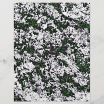 Snow Covered Ground Texture Personalized Flyer