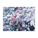 Snow Covered Holly Berries - Holiday Postcards