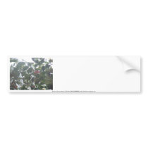 Snow Covered Holly bumper stickers by dlmtleArt Snow Covered Holly bumper stickers