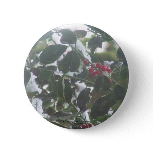 Snow Covered Holly button
