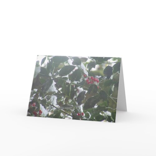 Snow Covered Holly card