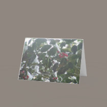 Snow Covered Holly cards