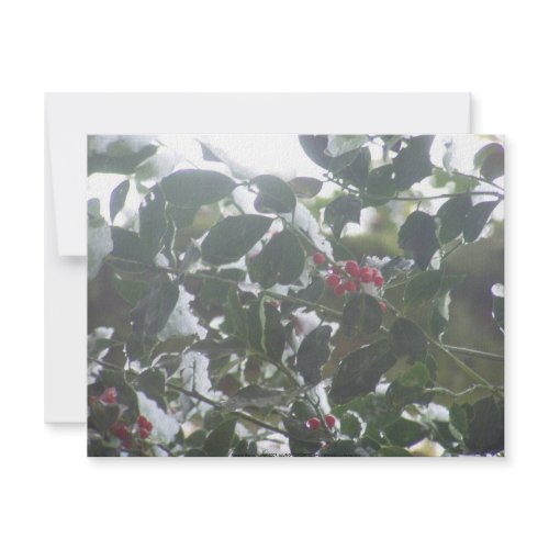 Snow Covered Holly invitation