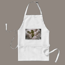 snow covered holly leaves aprons