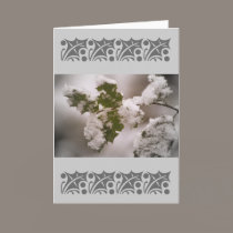 snow covered holly leaves cards