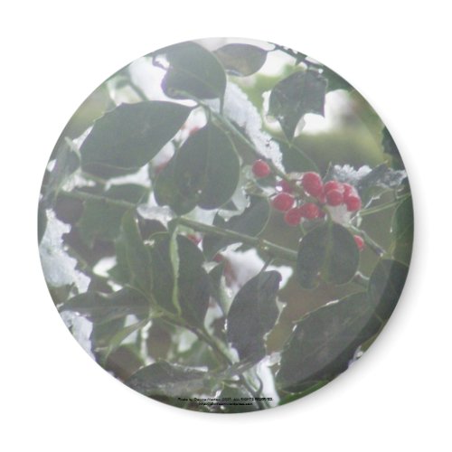 Snow Covered Holly magnet