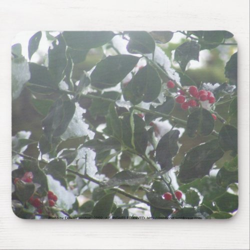 Snow Covered Holly mousepad