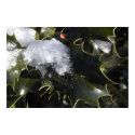 Snow covered holly posters