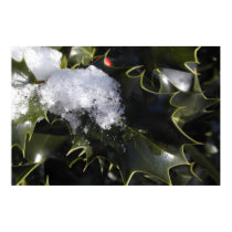 Snow covered holly posters by xlcus Snow covered holly posters
