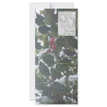 Snow Covered Holly rack cards by dlmtleArt Snow Covered Holly rack cards